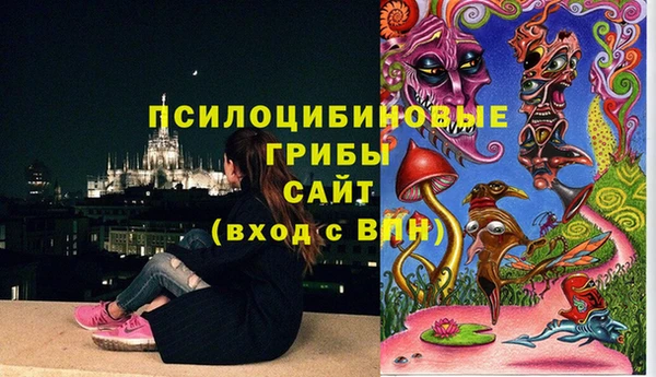 прущая мука Армянск