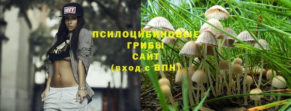 прущая мука Армянск