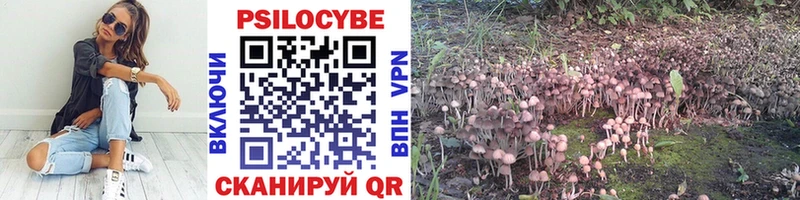 Псилоцибиновые грибы MAGIC MUSHROOMS Артёмовский